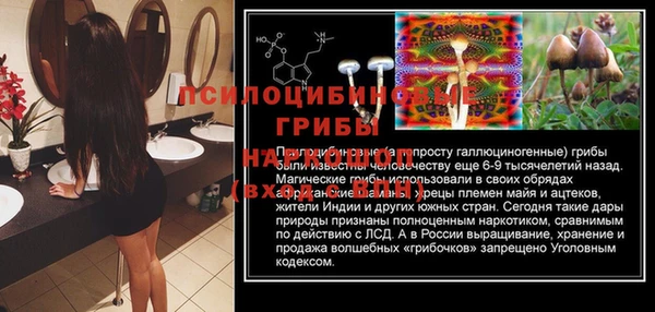 стафф Алексеевка