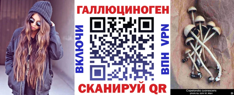 Псилоцибиновые грибы Magic Shrooms  даркнет как зайти  Комсомольск 